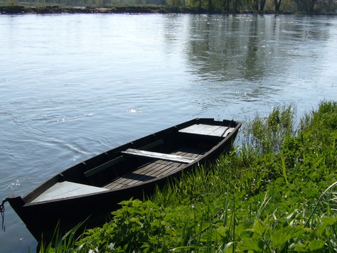 Le bord de Loire au printemps