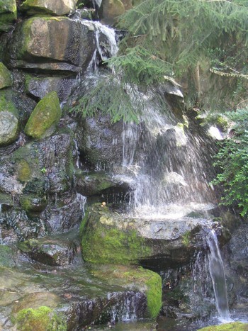 Une cascade d'eau fraiche