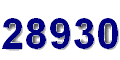Dossard n°28930